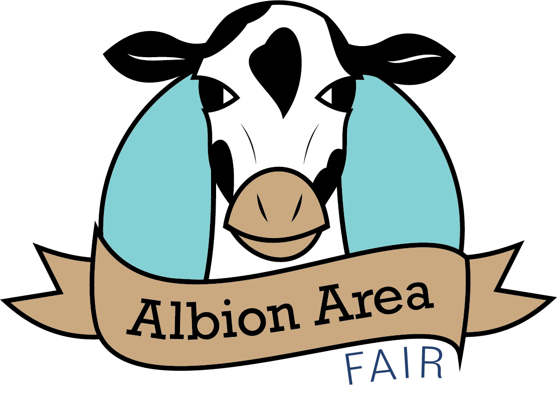 Beehive 2024 Albion Area Fair Process by Megan Huster May, 2024