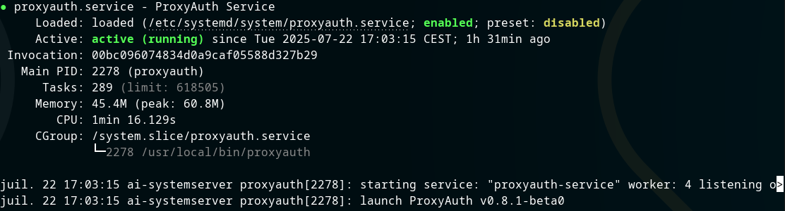 ProxyAuth The Fastest Authentication Reverse Proxy Ever Built | by ...