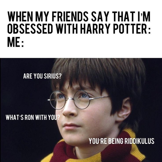 17 Riddikulous Harry Potter Memes That'll Right Your Rons