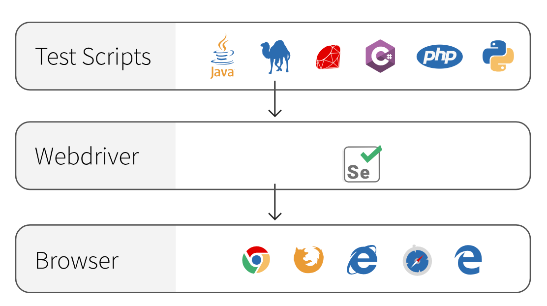 Web Application Testing Guide — Ranorex Testing Wiki