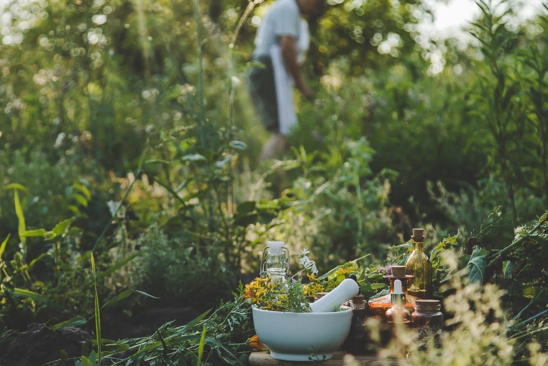 A Modern Approach to Whole-Person Wellness Through Integrative Medicine