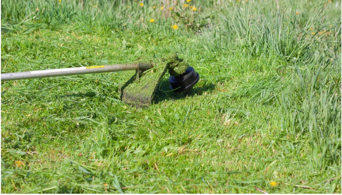 How to Choose Best Manual Lawn Edger by David M. Beaver Medium