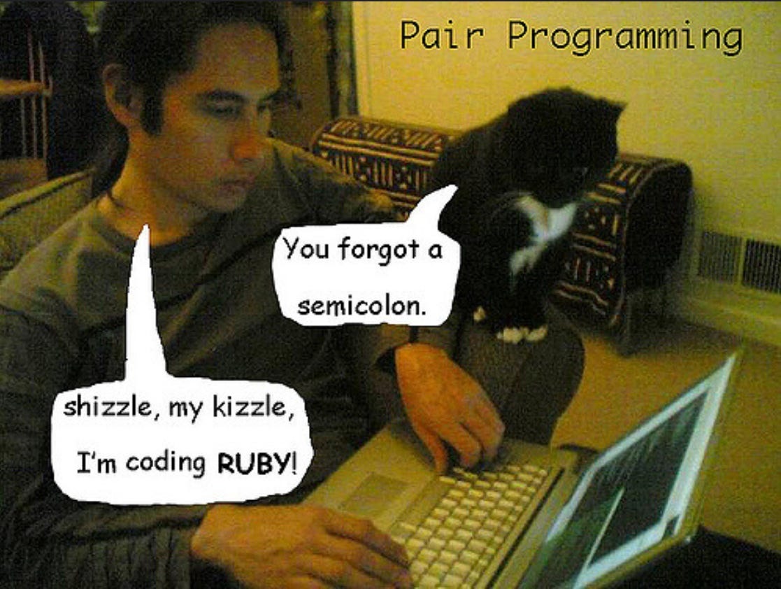 Pair programming. Pair programming смешное. парное программирование gif. pair programming meme. js code review прикол.