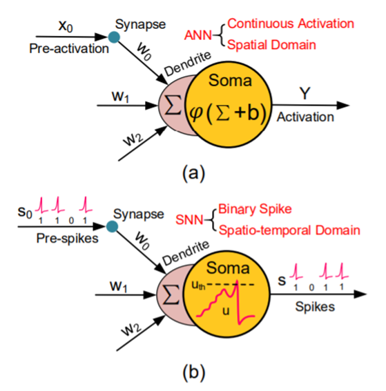 Spiking Neuron Models: Single Neurons, Populations