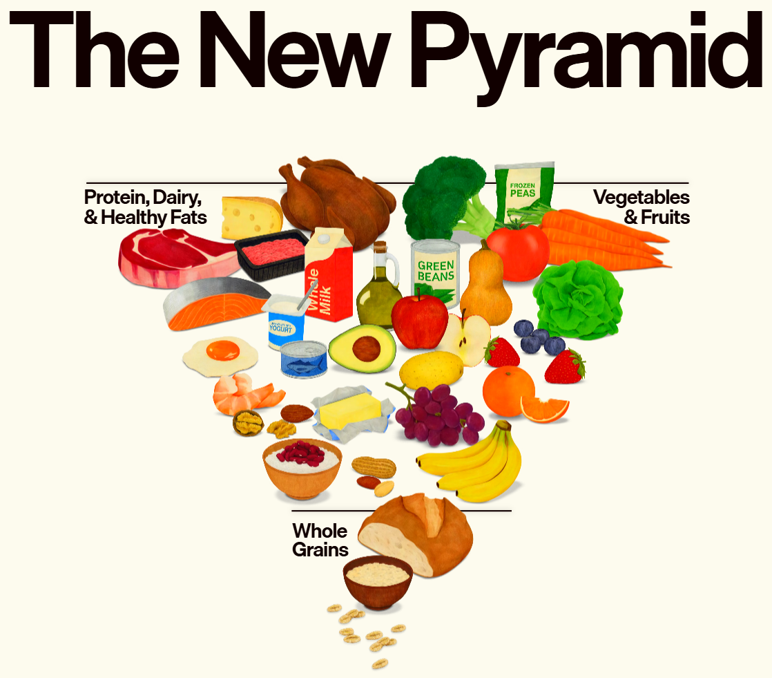 The New Food Pyramid from DGA