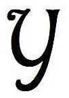 Y