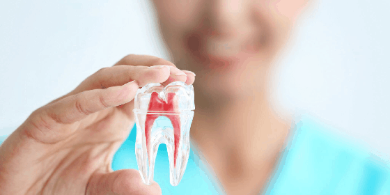 Cost of Metal Braces – Sabka Dentist – Top Dental Clinic Chain In India