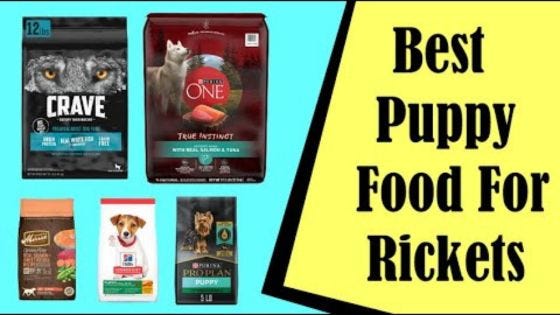 Best Food for Puppy with Rickets. Introduction, by Jicamasf