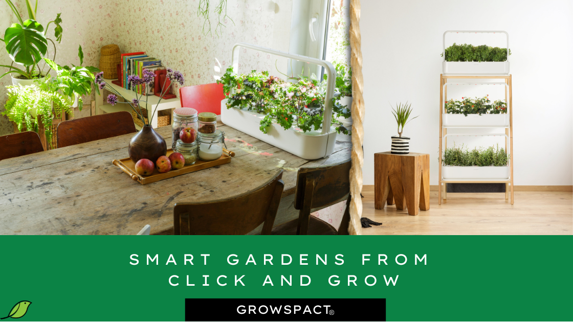 Selfwatering indoor gardens from Click and Grow — Which smart garden