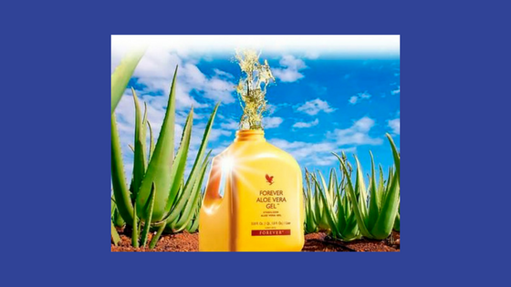 Aloe Vera Juice Drink — “A Wonderful Drink For Good Health!”, by Pamela  Glynn