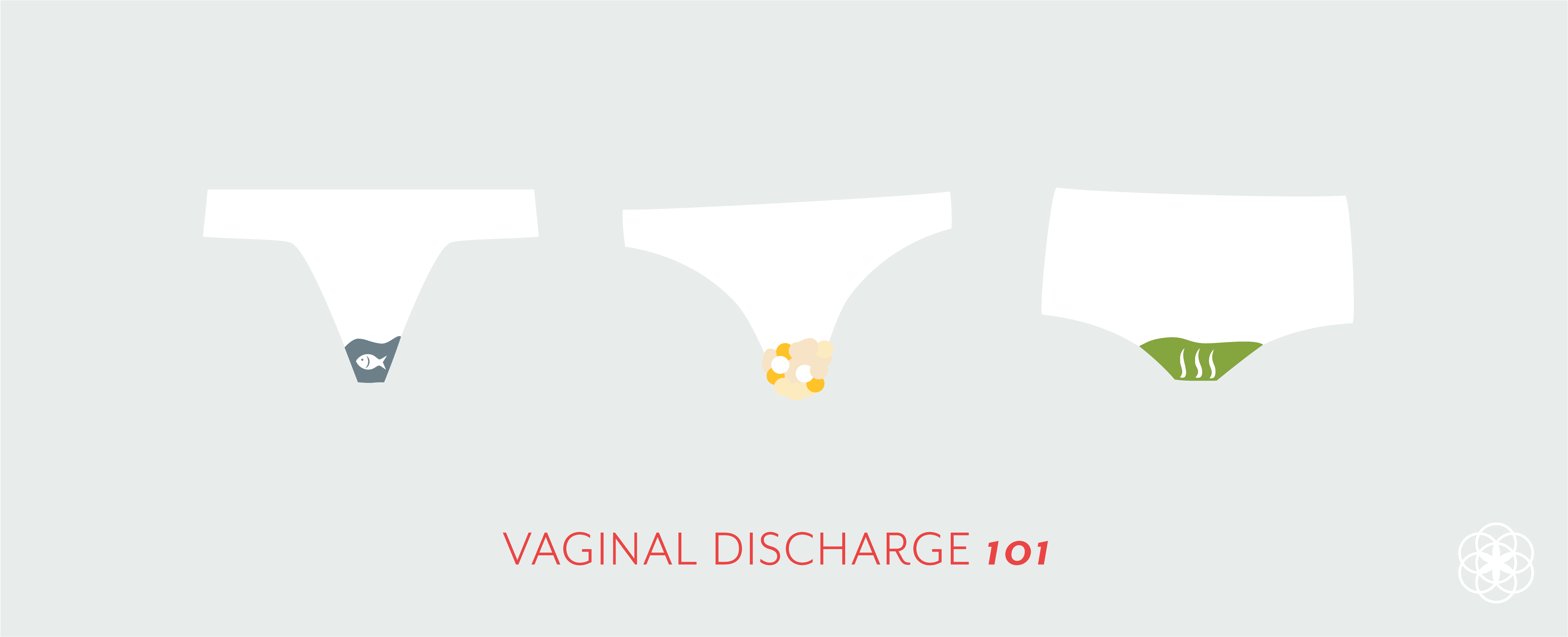 Vaginal Discharge 101 - Colors, Textures, & Odors [Explained
