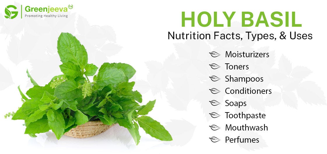 Holy Basil Nutrition Facts, Types, and Uses by Green Jeeva LLC Medium