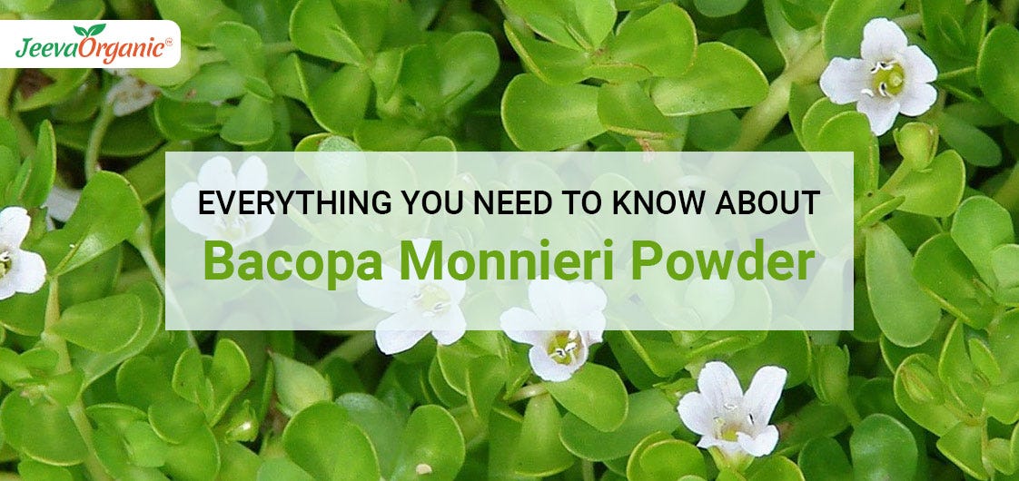 Everything You Need to Know About Bacopa Monnieri Powder