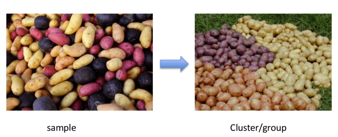 Classification Analysis for Cluster Group Membership