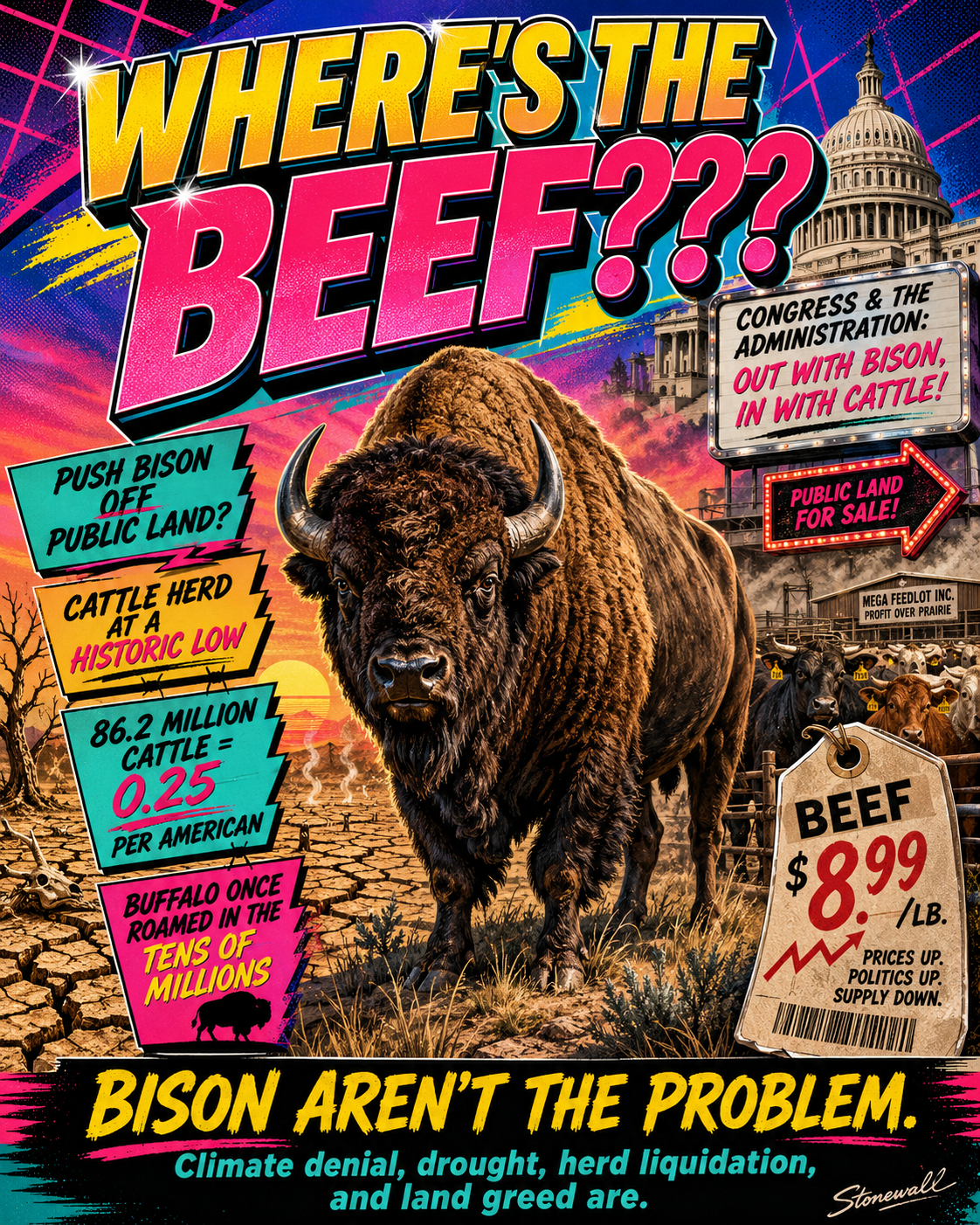 Non-Fiction: Politics — Where’s the Beef, Part Deux.
