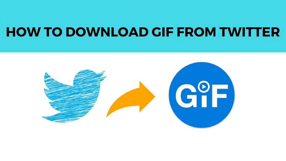 How to download gifs from Twitter — Save GIFs on your device for