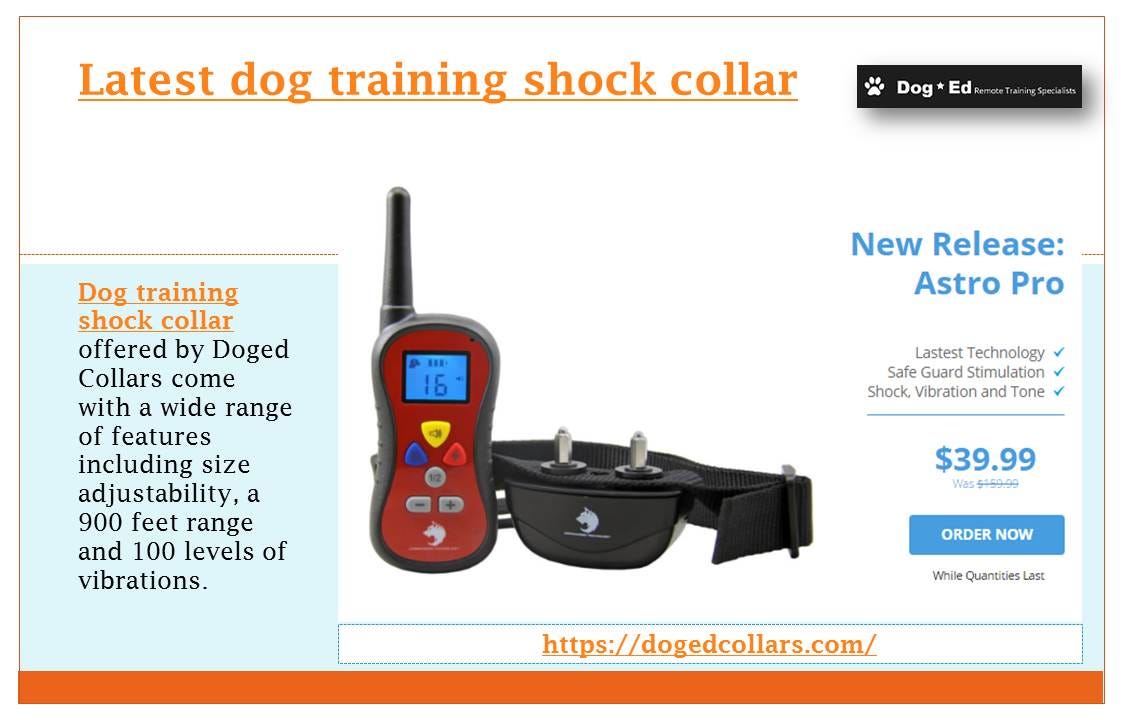 Dog ed shock collar outlet