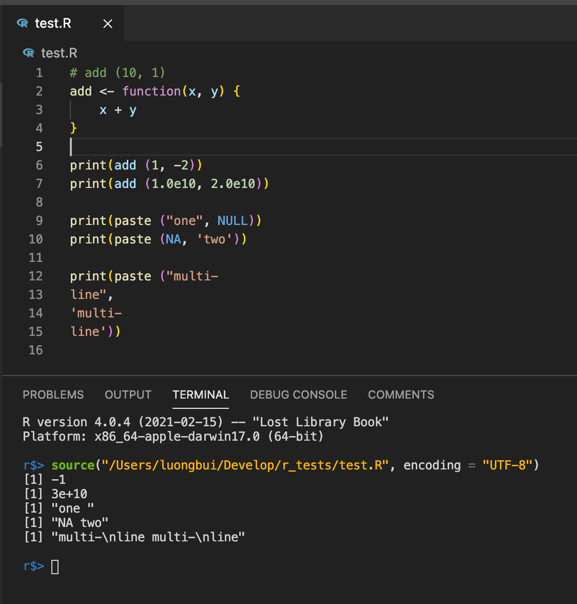 R and radian on macOS and VSCode. If you want to try out the R ...