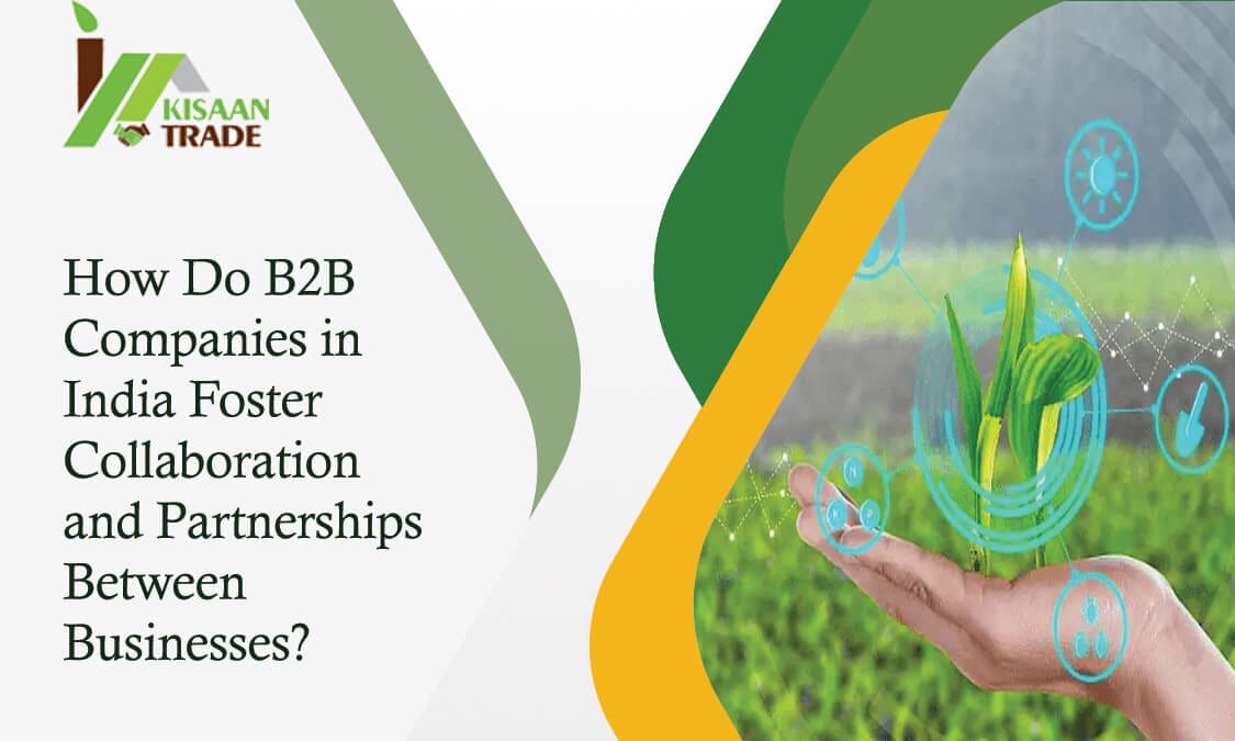 how-do-b2b-companies-in-india-foster-collaboration-and-partnerships