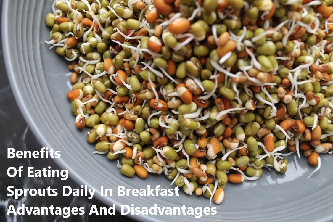 Benefits Of Eating Sprouts Daily In Breakfast Advantages And