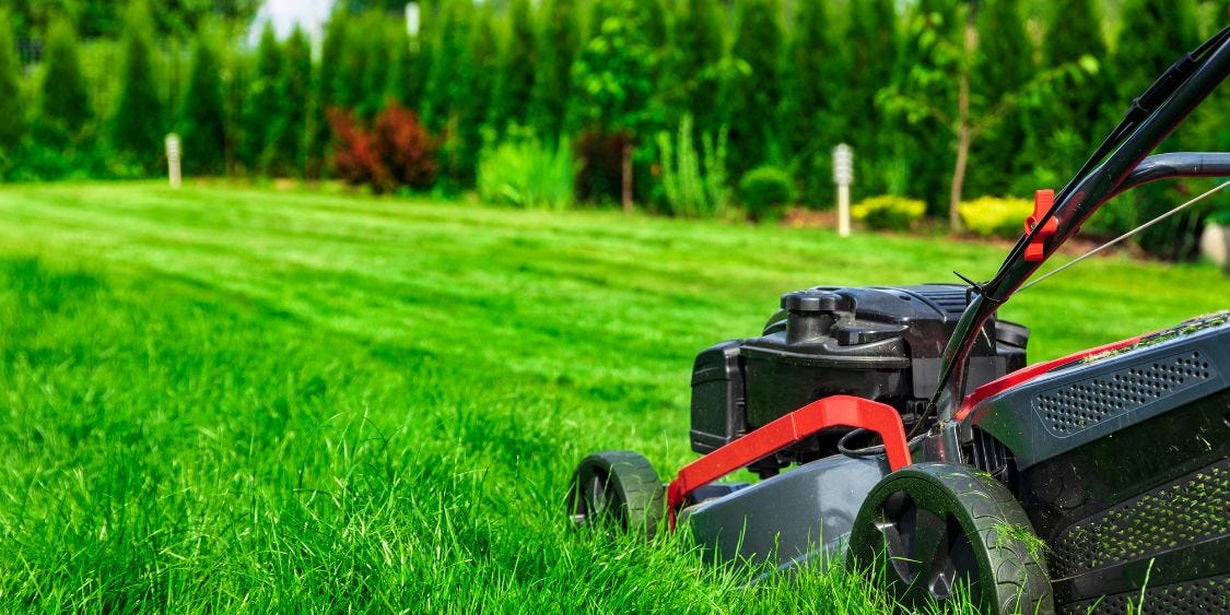 Seasonal Lawn Care Tips for a Healthy Yard by Blades of Glory