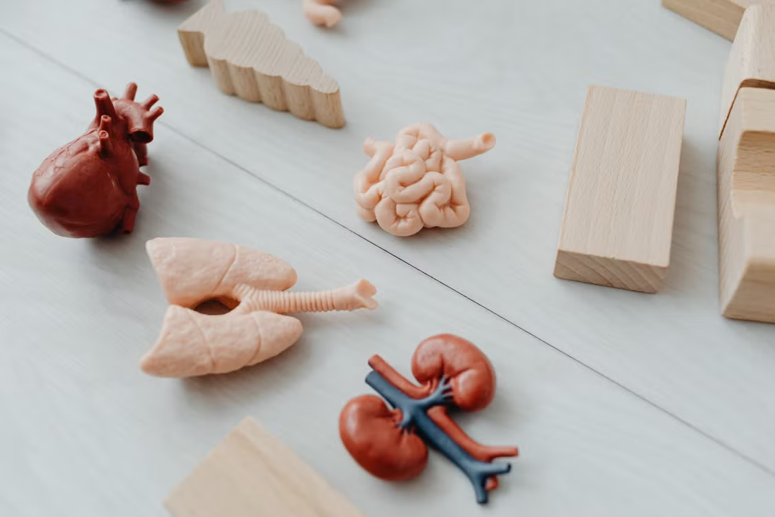 Understanding Proteinuria: An Early Warning Sign of Kidney Disease