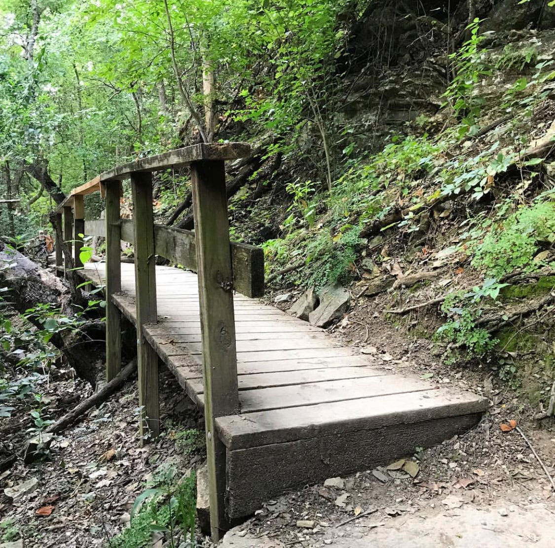 Tales of the Trail River Place Nature Trail by Dale Blasingame Medium