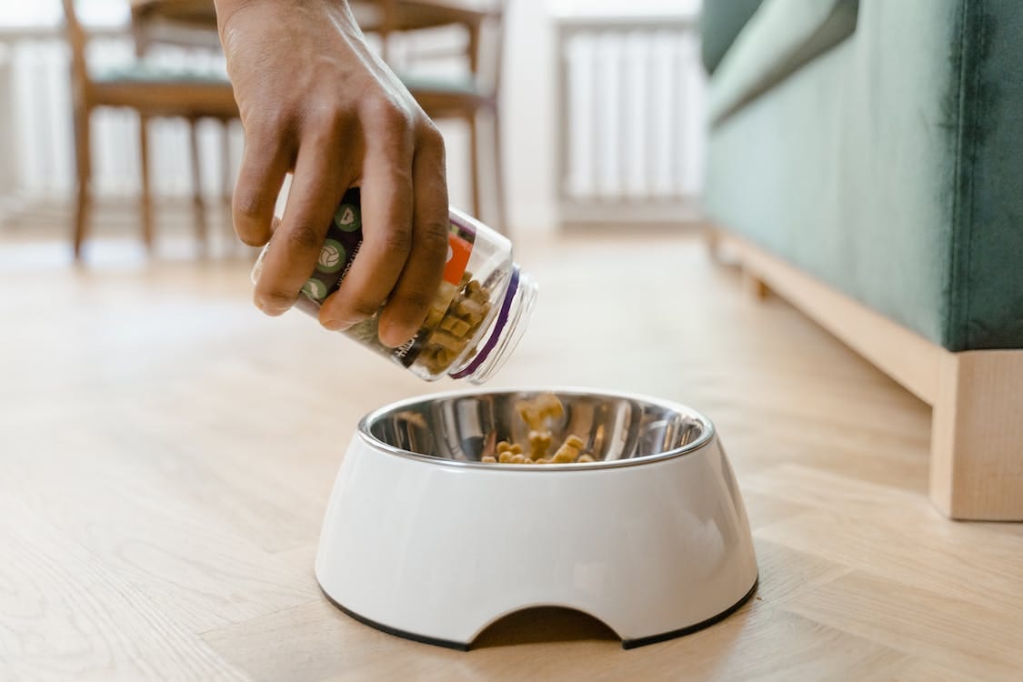 Elevate Your Dogs Bowl 4 Healthy Kibble Toppers To Add To Your Dogs 