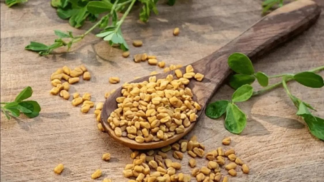 Face Care 5 surprising benefits of Fenugreek by Shabana Gagan Aug