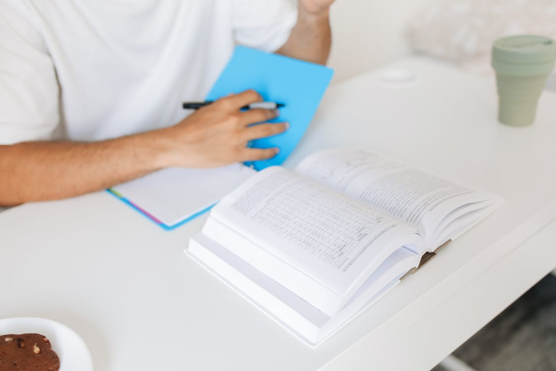 FactMonster Flashcards: How to Boost Your Study Game?