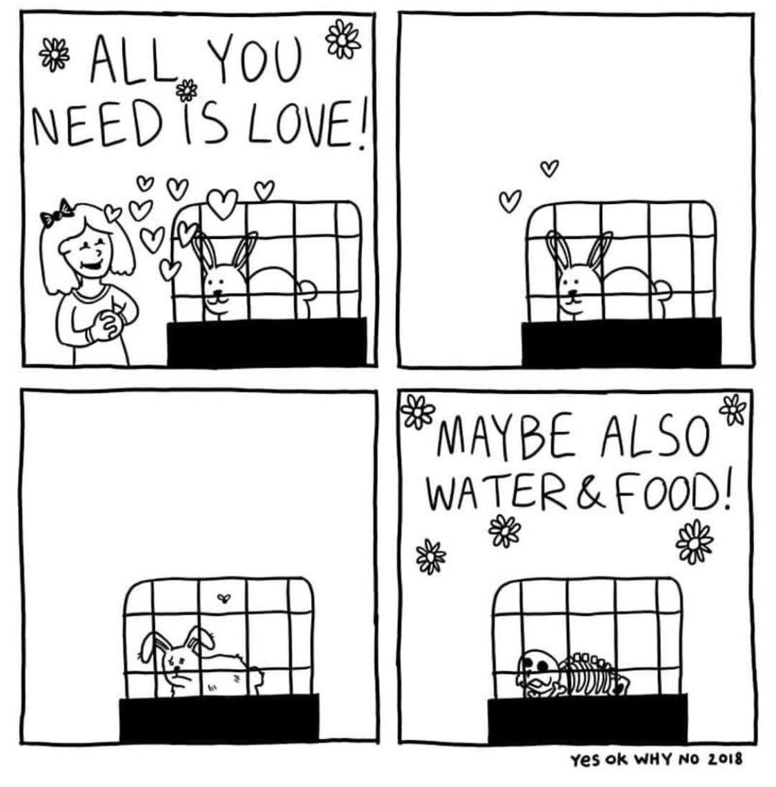All You Need Is Love!… Maybe Also Water and Food, by Suzie Leigh