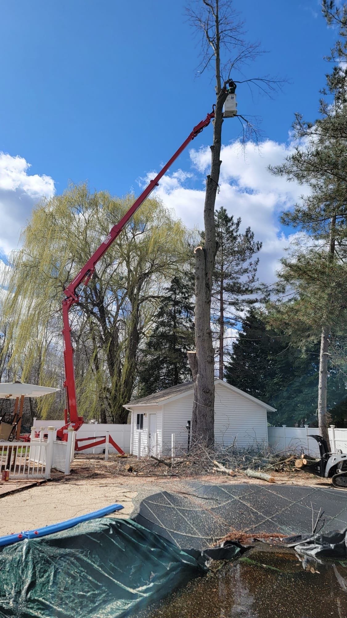 KD Tree Syracuse NY Premier Tree Service in Syracuse NY KD Tree