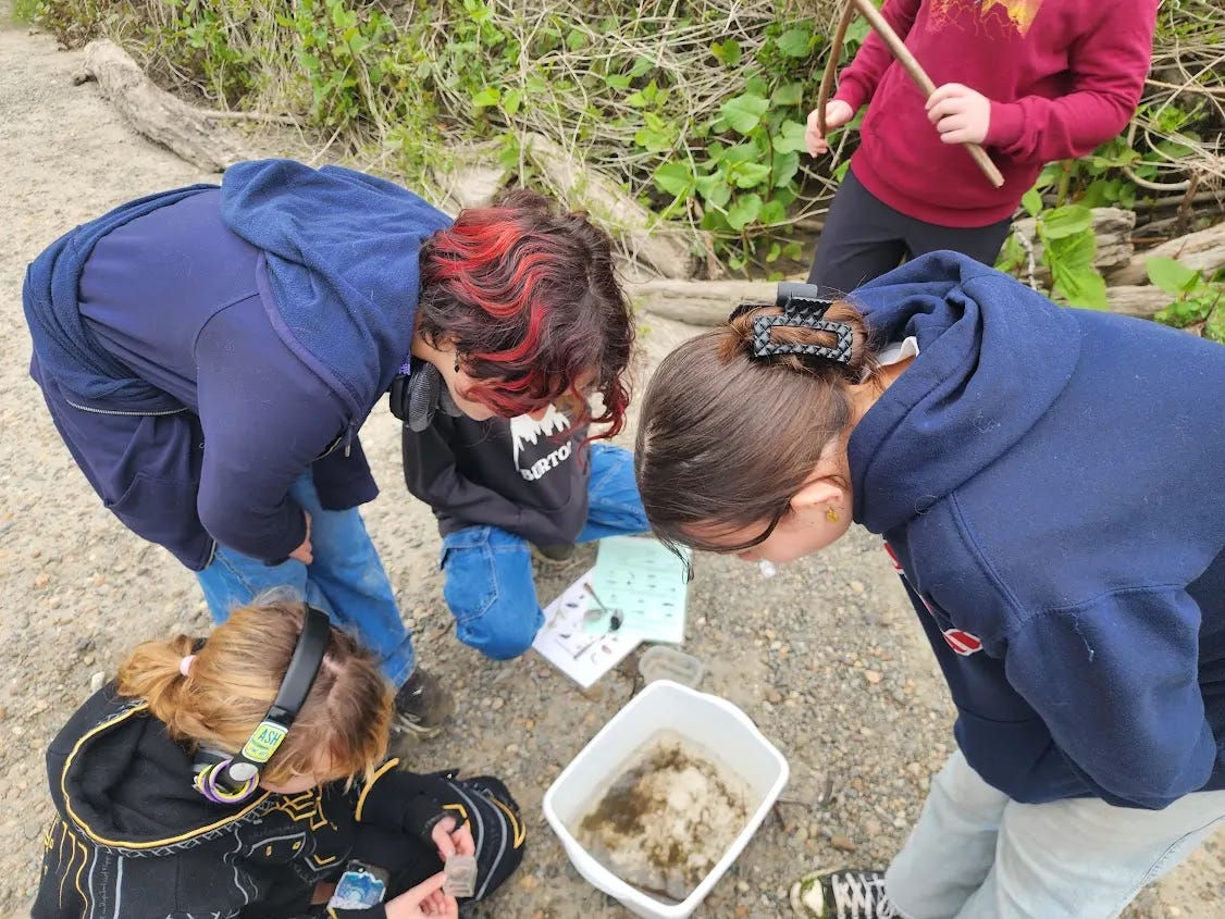 Students Work to Restore Local Watershed