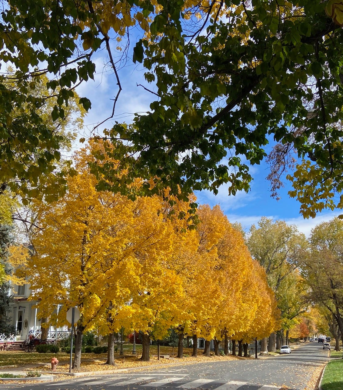 An Autumn Walk in Carson City. Perfect weather combined with fall… by