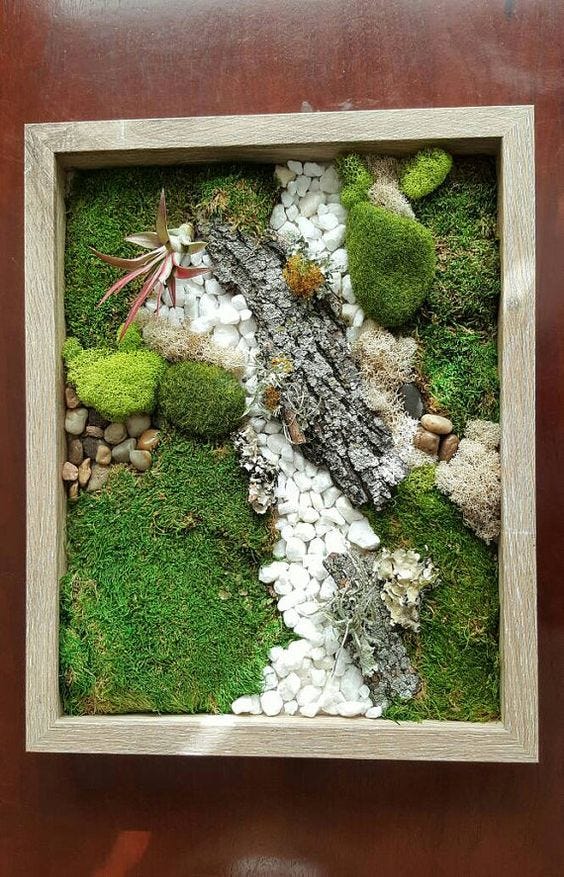 Living moss wall art : r/terrariums