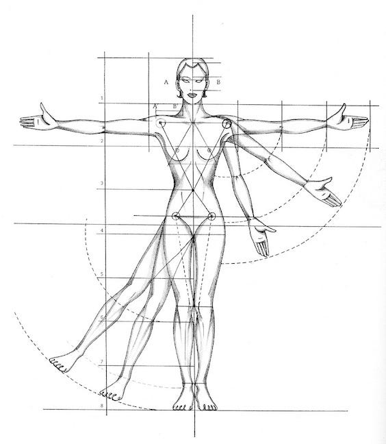 Side Chest Pose Dimensions & Drawings
