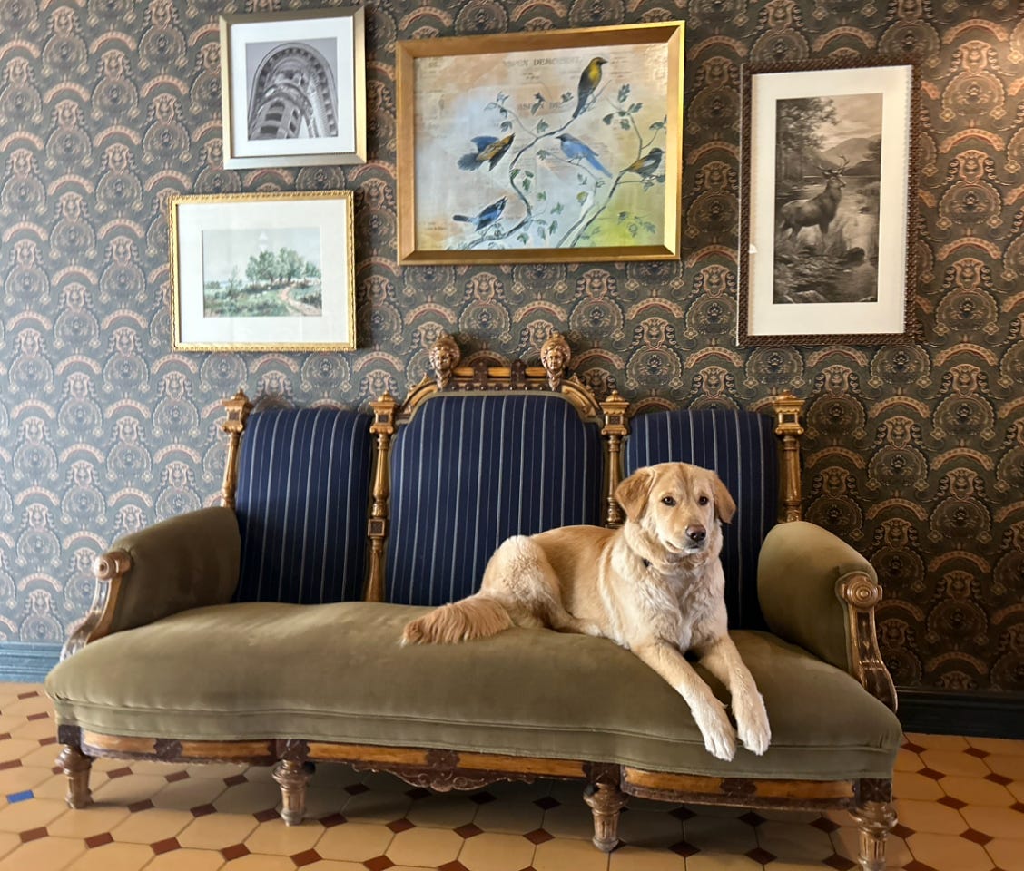 Experience Historic Luxury at Hotel Jerome in Aspen | by …