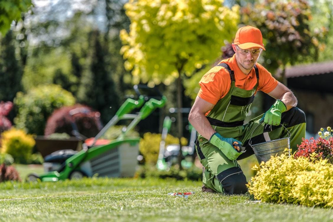 Creating Green Dreams: The Exceptional Landscaping Services of Quality Landscaping Services Garden…