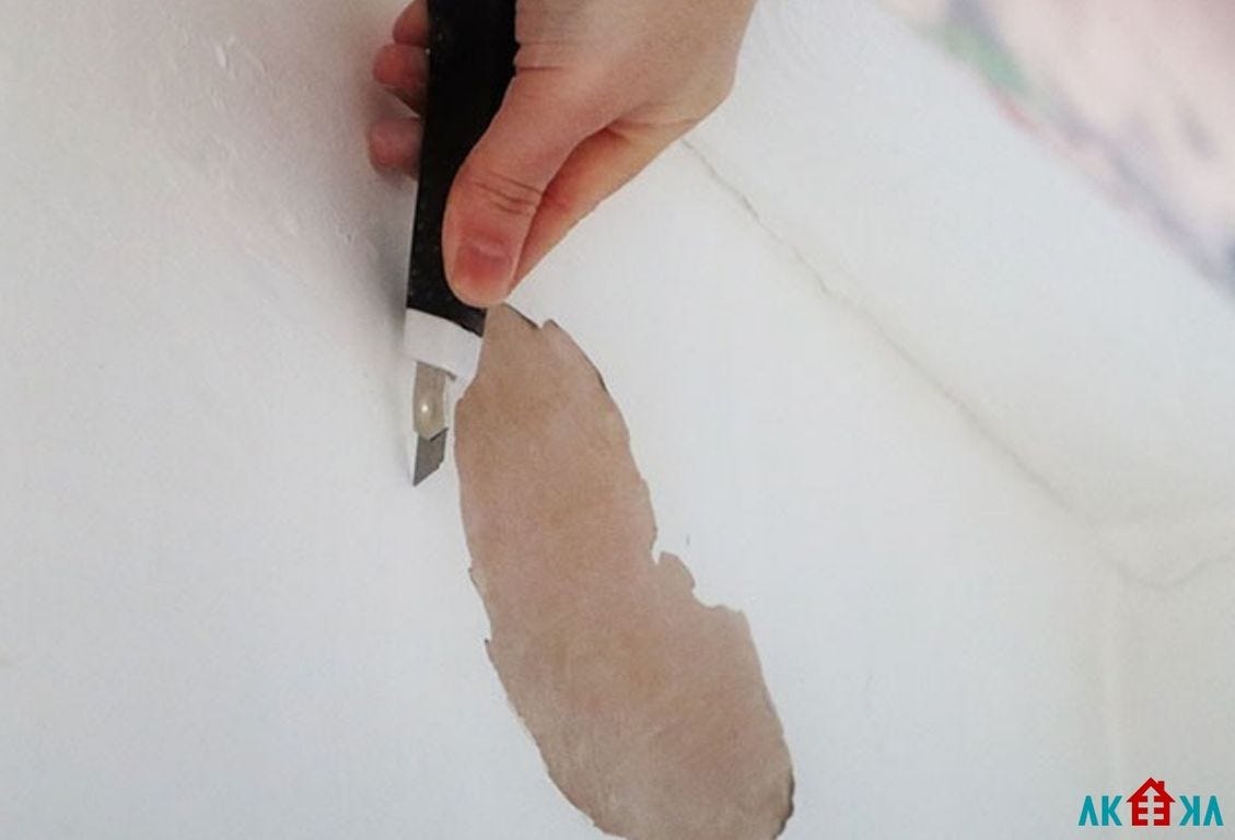 A Comprehensive Guide on Fixing Chipped Paint on Walls by Amelia james Medium