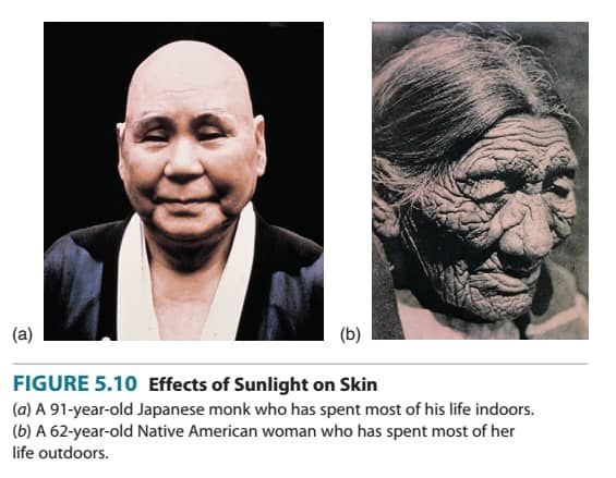 Photos That Will Convince You to Wear Sunscreen Every Day, by Curology  Team, Curology