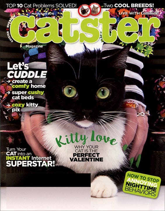 Excited Cats is Now a Part of Catster - Catster