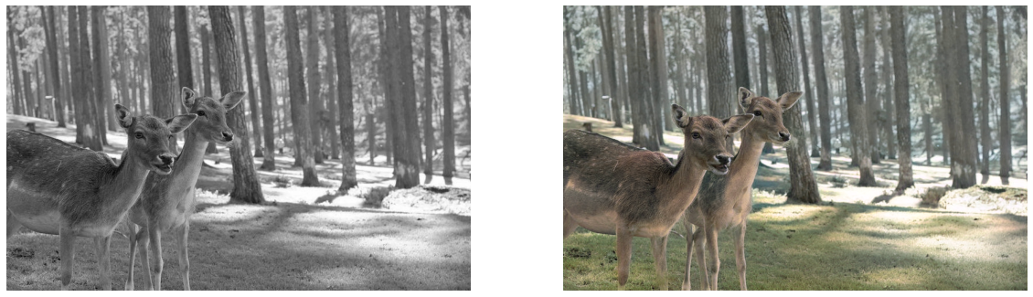 Colorizing Old Memories with Python | by Arsh Anwar | Medium