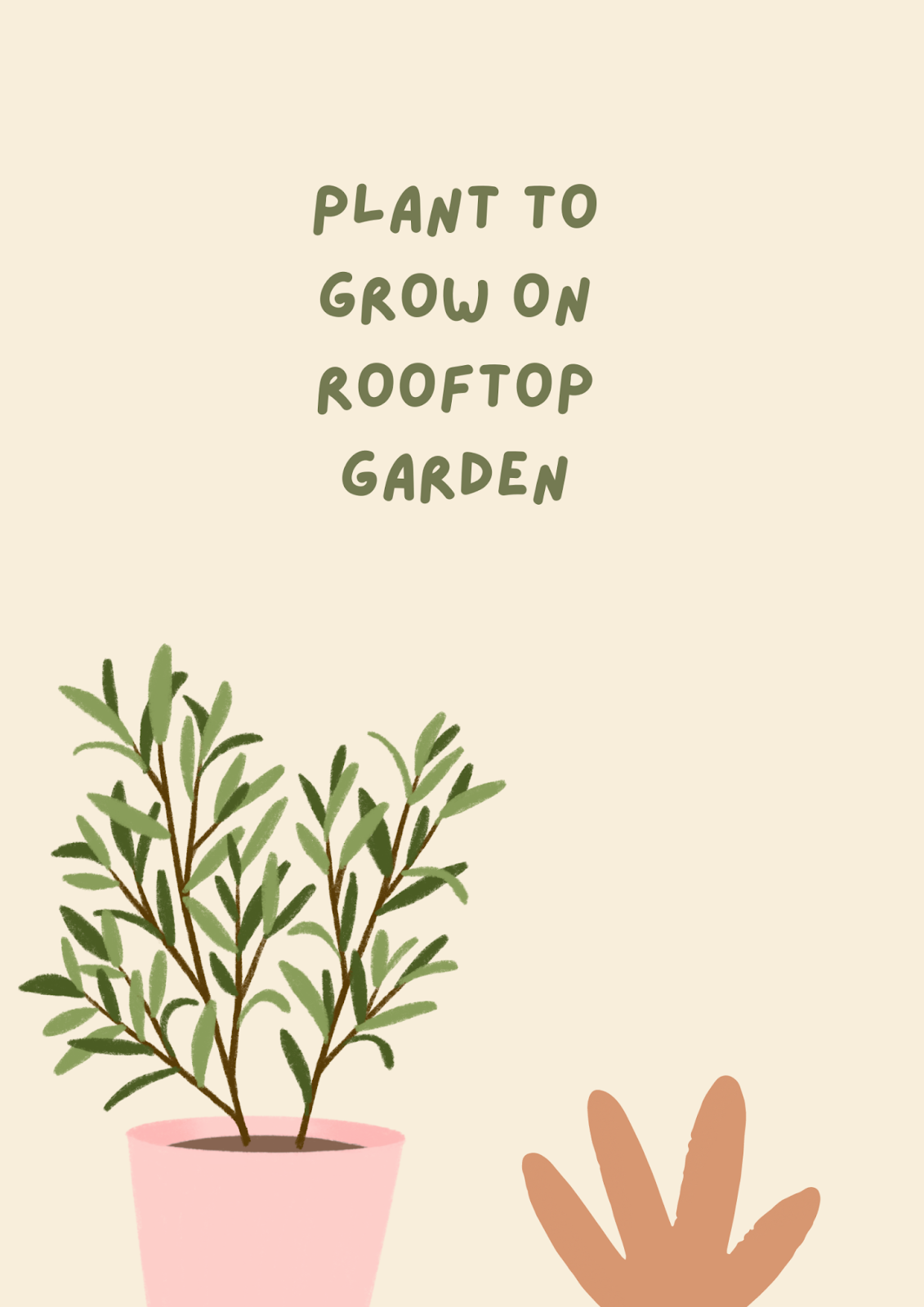 6 plants to grow on the rooftop garden by Abubakar Medium