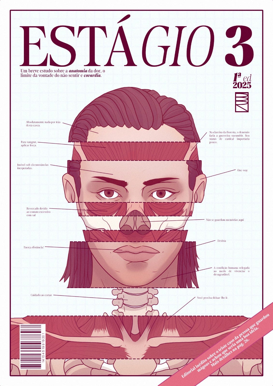ESTÁGIO 3