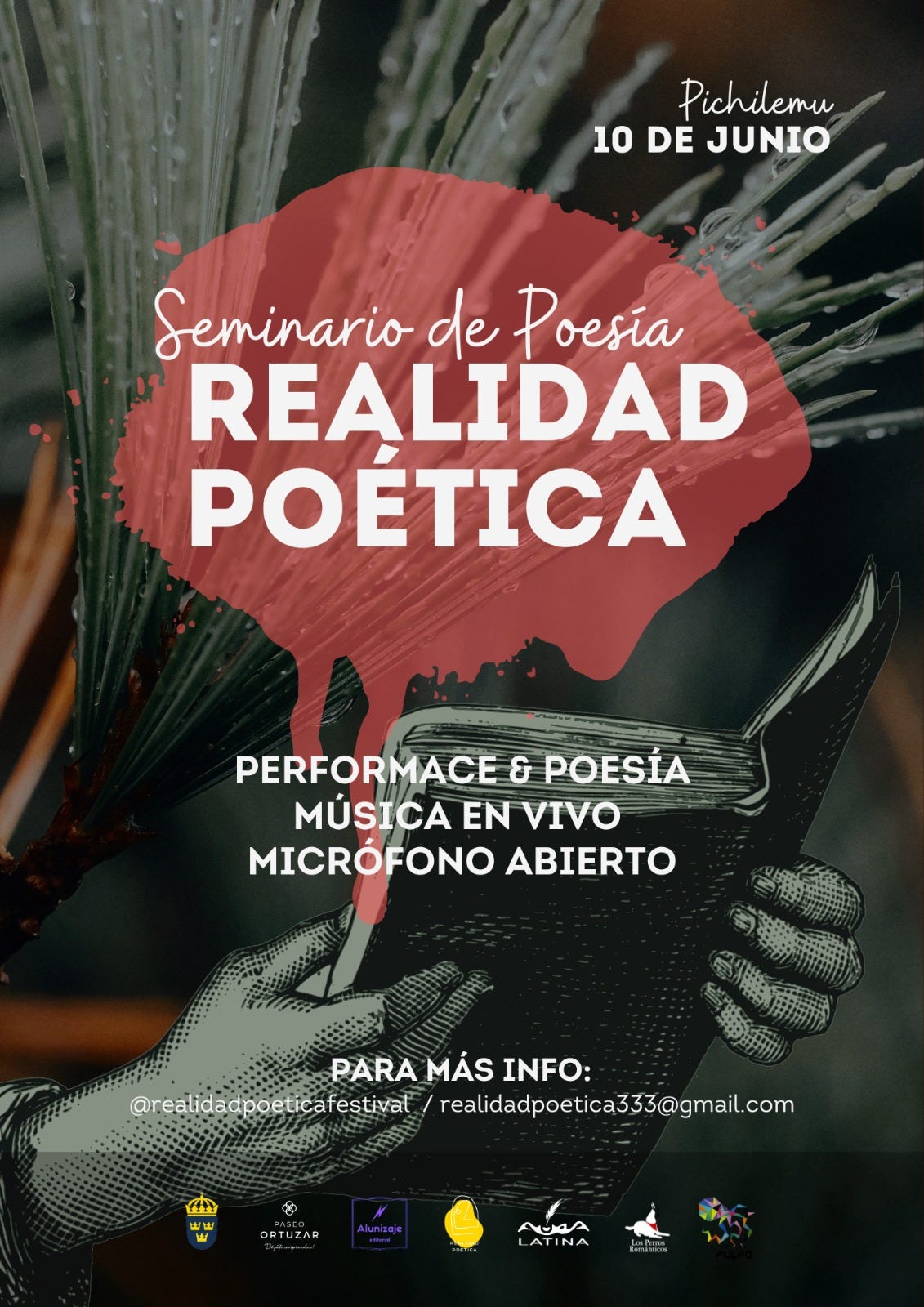 «Realidad Poética» en Pichilemu. Performance. Música