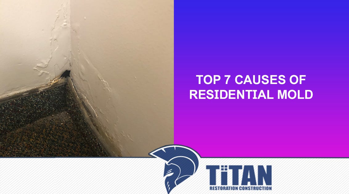Top 7 Causes of Residential Mold. Outdoor mold helps in the