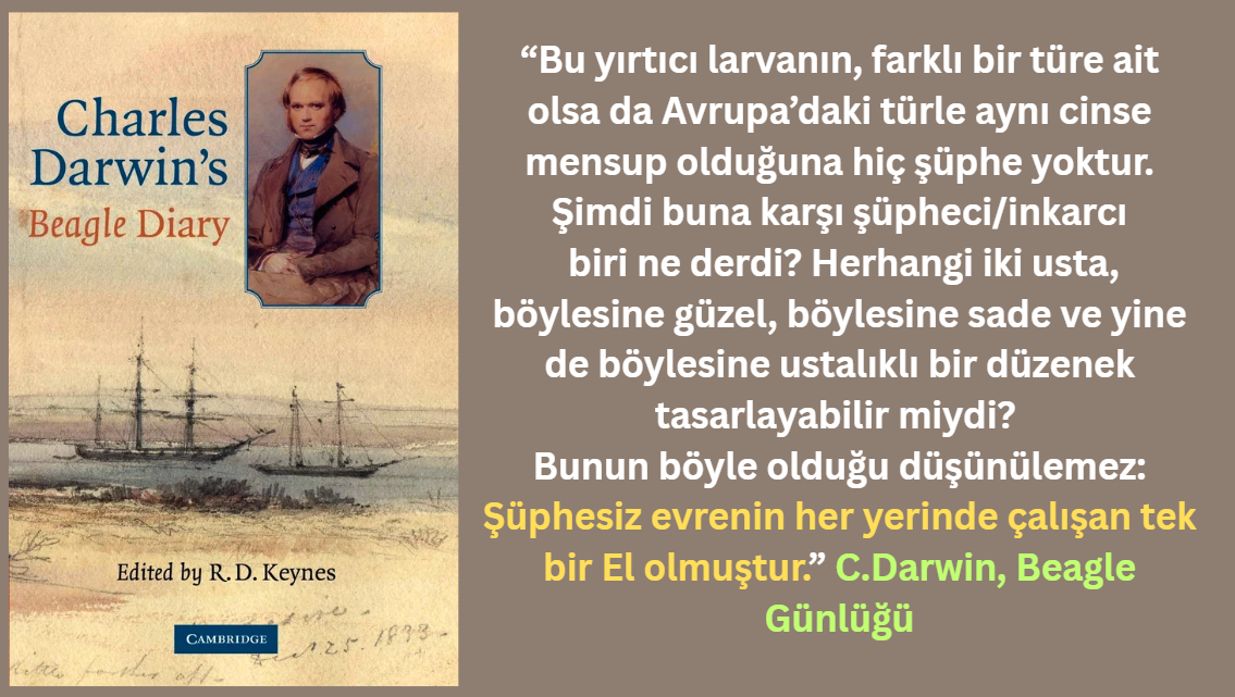 Evrim 82 — Beagle Günlüklerindeki Tevhid Vurgusu