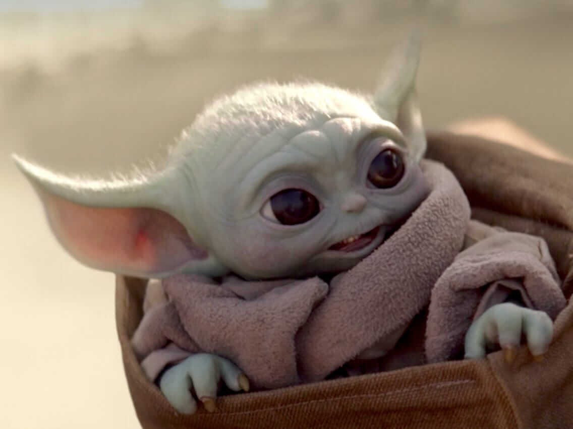 Grogu or Baby Yoda? Jon Favreau Speaks Out - Inside the Magic