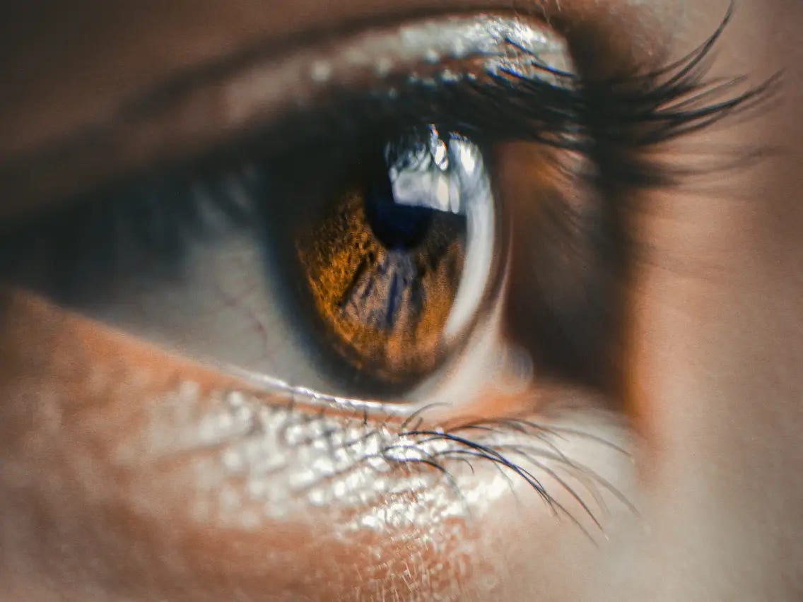 Loss of Eyelash. Eyelash loss is a natural process that… | by Shannon S ...