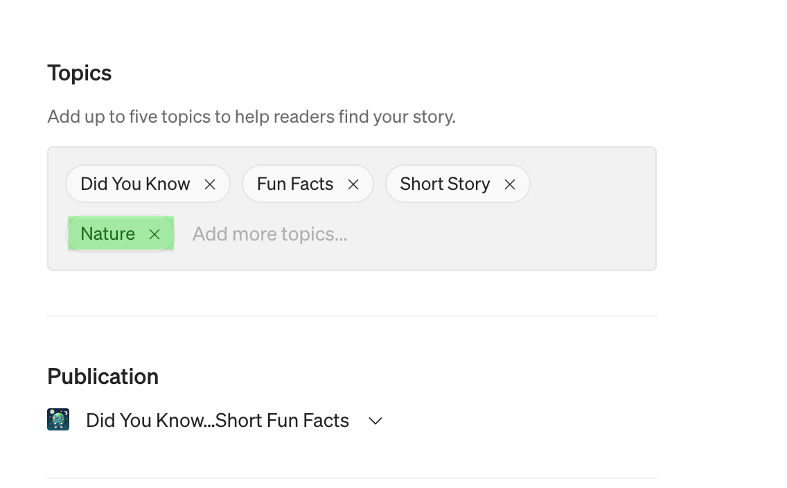 Screenshot by the Author showing the tag page